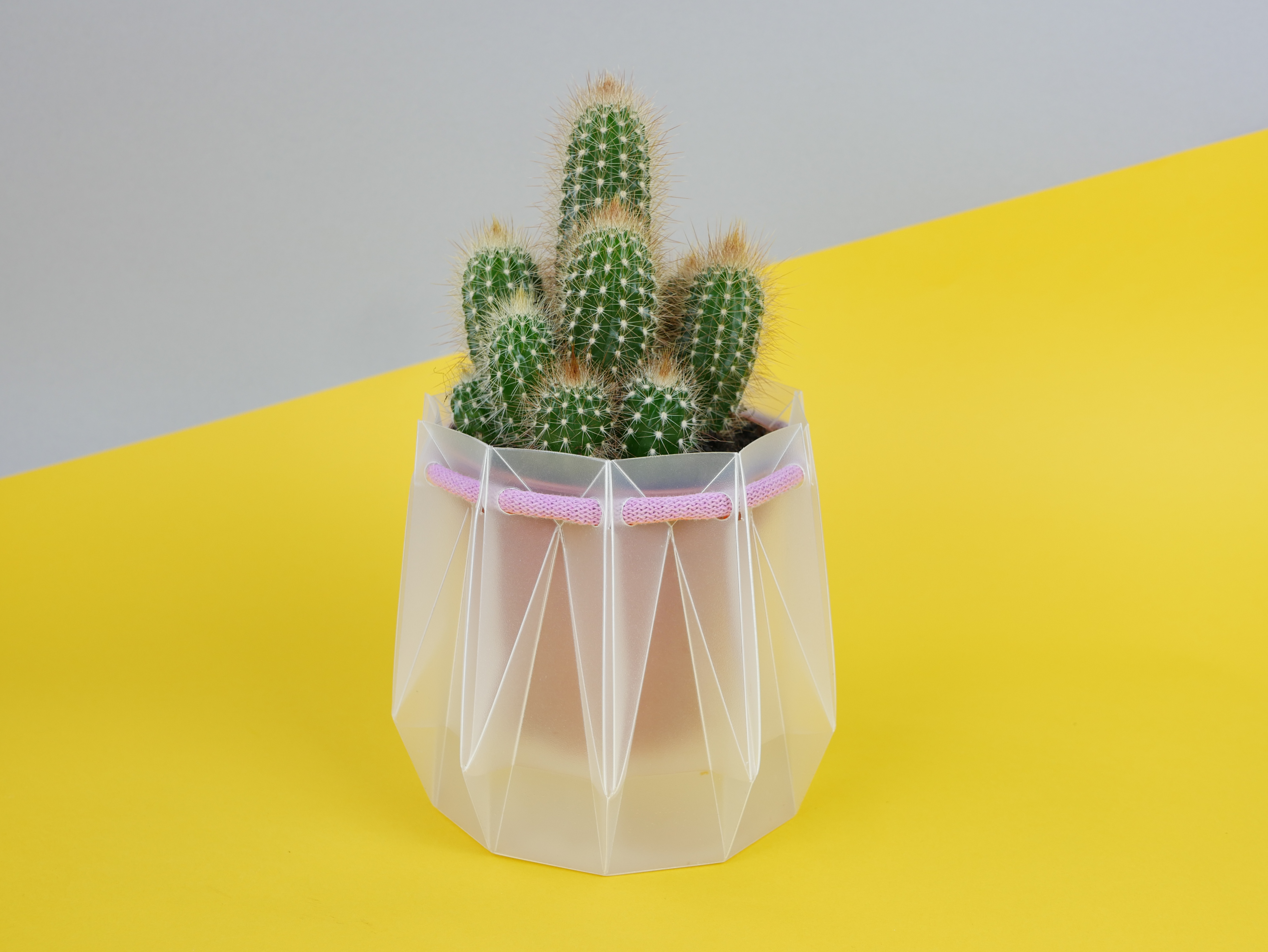 Plant pot